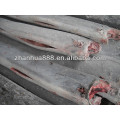 sea frozen sailfish China supplier hot sale seafood